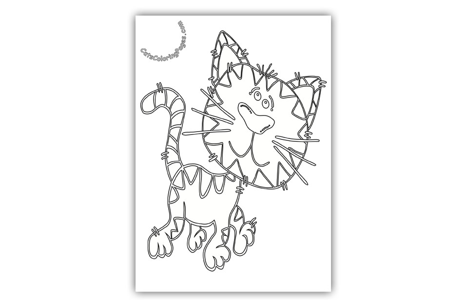Playful Tiger Tomcat Coloring Page