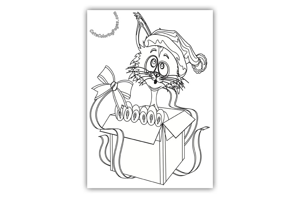 Surprise Cat Coloring Page