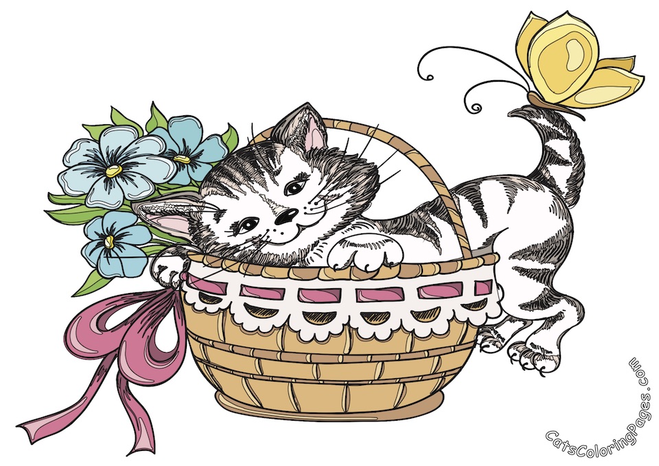 Cat in Basket Colored Coloring Page