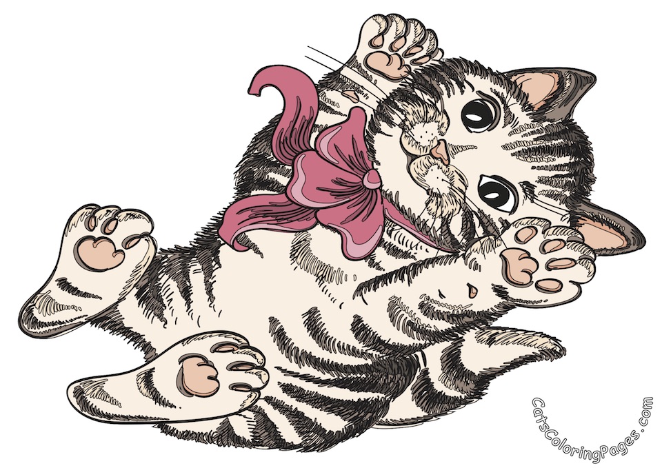 Cute Playful Kitten Colored Coloring Page