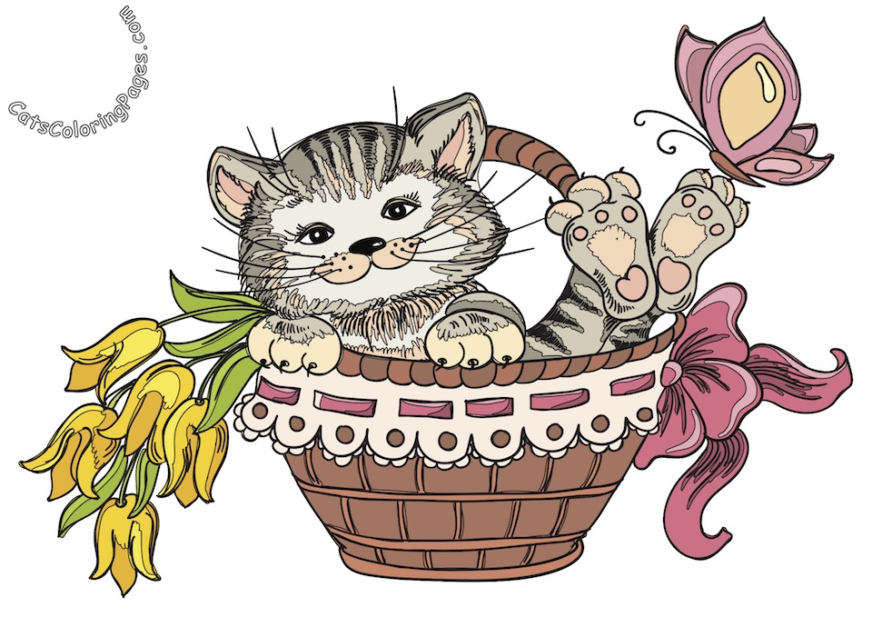 Happy Playful Kitten Colored Coloring Page