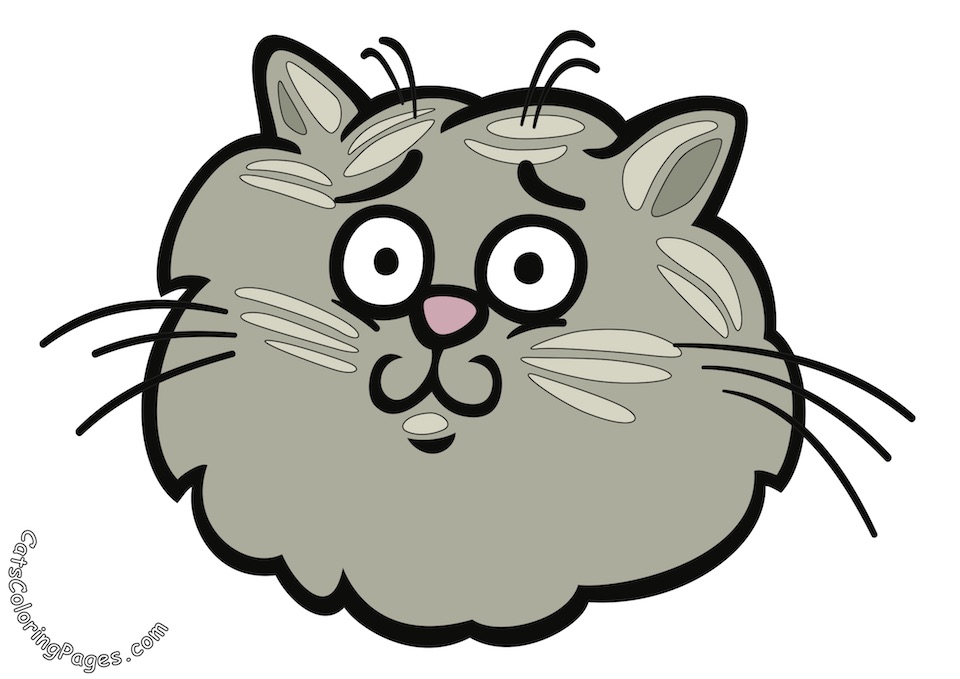 Surprised Tomcat Colored Coloring Page