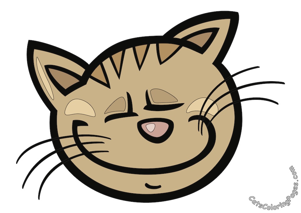 Sleeping Tomcat Colored Coloring Page