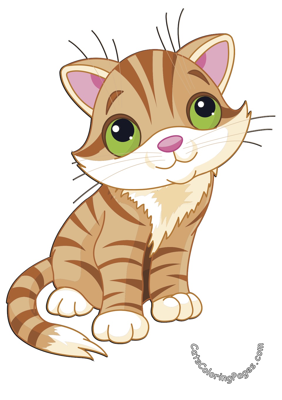 Cute Big Eyed Kitten Colored Coloring Page