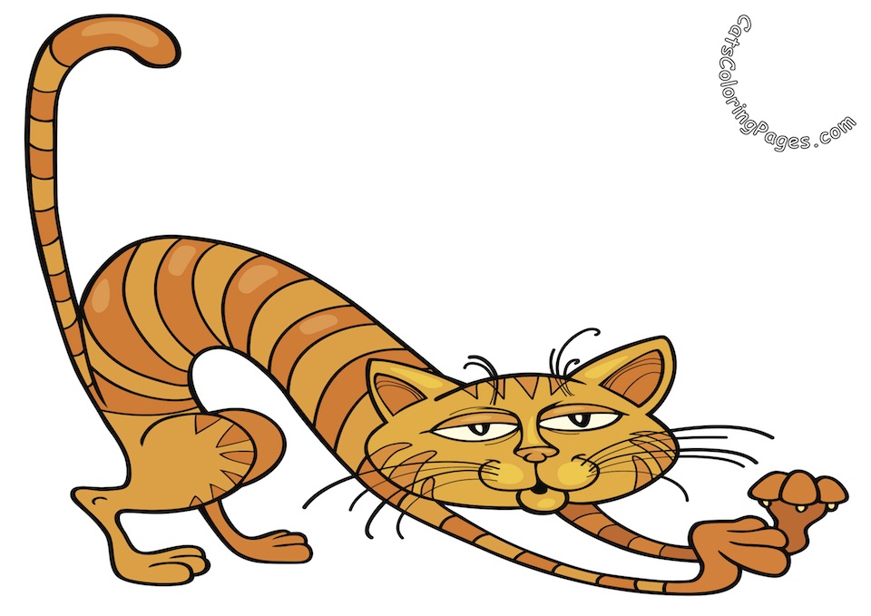 Tabby Tomcat Playing Colored Coloring Page