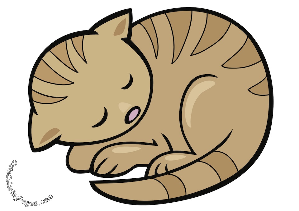 Sleeping Tabby Cat Colored Coloring Page