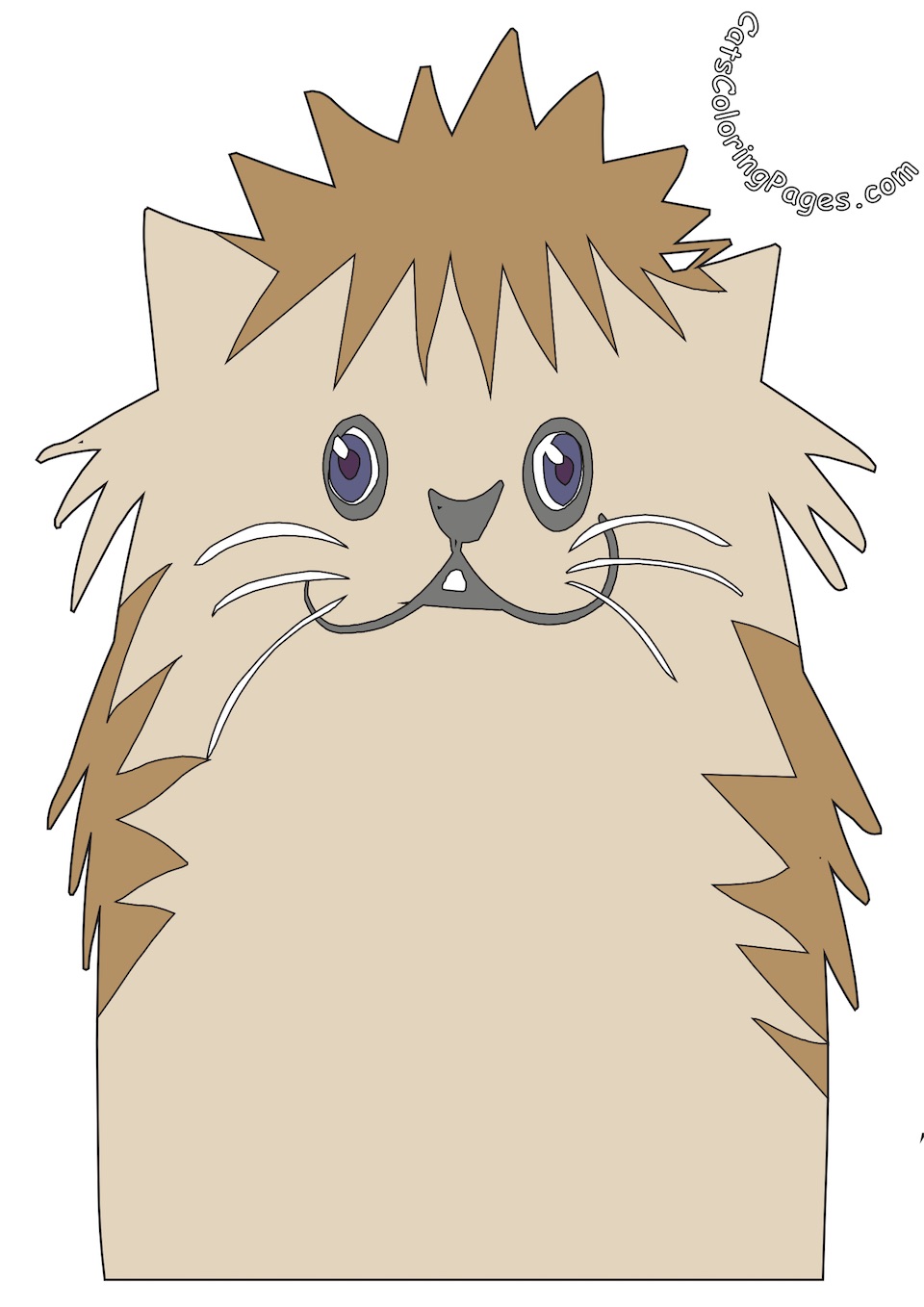Fluffy Kitten Colored Coloring Page