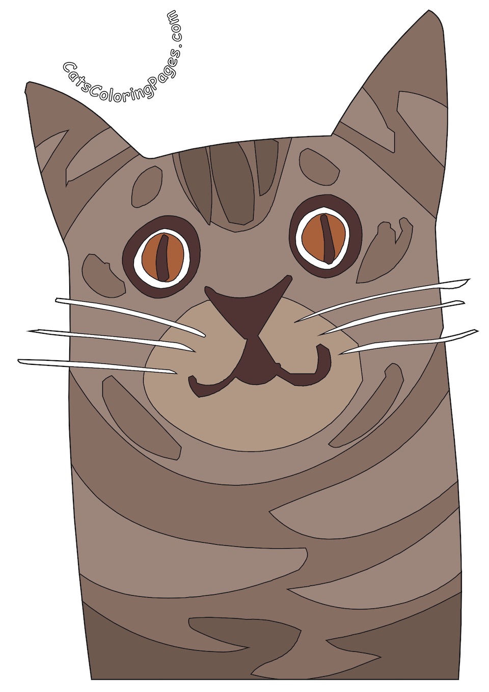 Spotted Senior Cat Colored Coloring Page