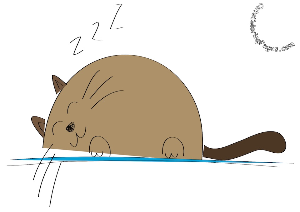 Sleeping Big Cat Colored Coloring Page