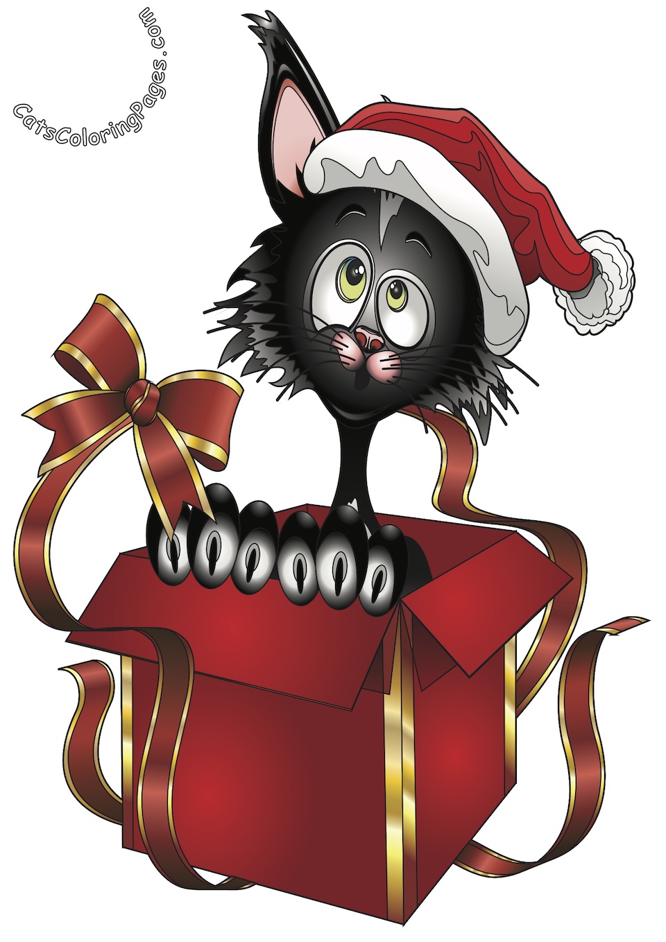 Surprise Cat Colored Coloring Page